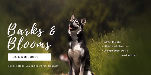 Barks & Blooms