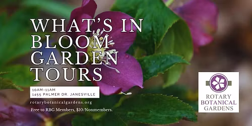 What's in Bloom Garden Tours