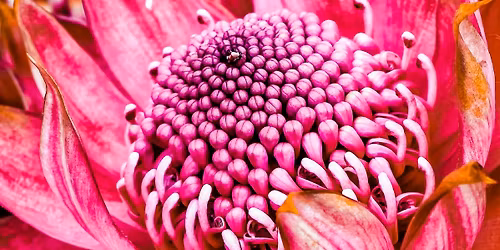 Botanic Gardens Week