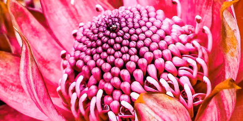 Botanic Gardens Week 2026