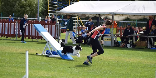 UKI Agility Trial! 