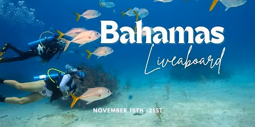 Bahamas Liveaboard