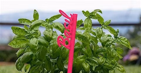 3D Printed Plant sign @ St Leonards