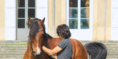 Stage MUSCLER SON CHEVAL A PIED