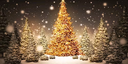 Fordingbridge Christmas Lights Switch On & Late Night Shopping