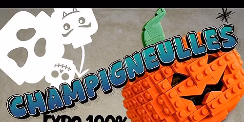 Expo 100% Briques - Champigneulles 2026