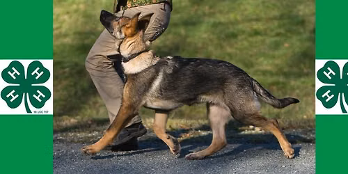 2026 4-H Dog Obedience Show