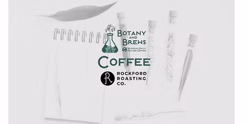 Botany of Coffee