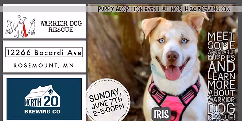 Warrior Dog Rescue at North 20 Brewing