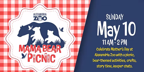 Mama Bear Picnic