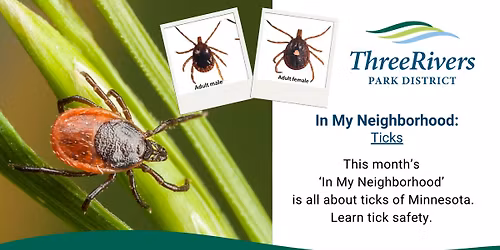 In My Neighborhood: Ticks