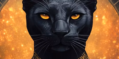 Majestic Cat Fine Gin Release Party.