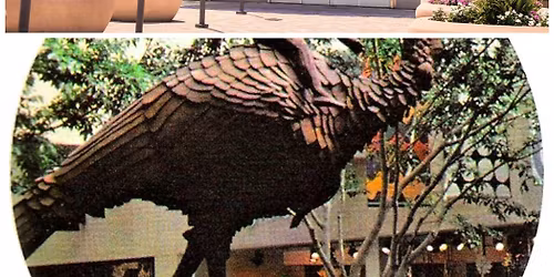 Special Activity:  Mall Walk \/ Eat & Chat