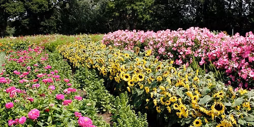 Blomsterbinding p\u00e5 R\u00f8nneb\u00e6ksholm