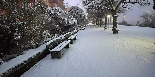 \u2728 NEU bei Best of Mainz: Mainz im Winterlicht! \u2728