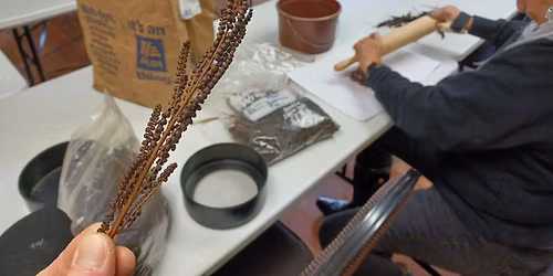 Volunteer Workday at Meadowbrook