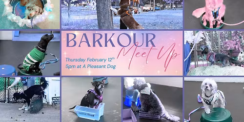 March Barkour Meet Up