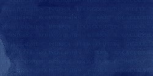 Kolja Goldstein in N\u00fcrnberg