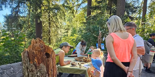 Family Forest Day: Trees are Homes