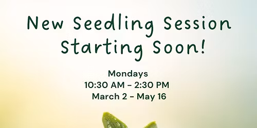 Seedling Homeschool Registration 