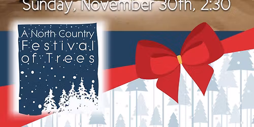 Johnson School of Irish Dance