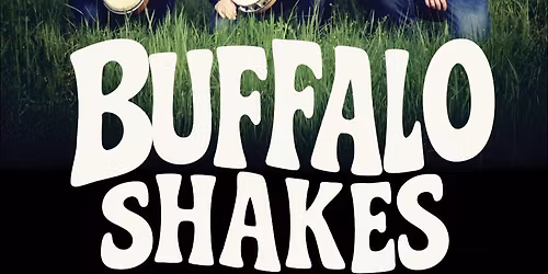 Buffalo Shakes