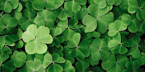 Kl\u00f8verdans 19. april 2026