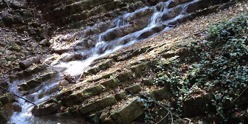 Mecsek 100\/50\/30\/20\/10+ MTB 50\/35 ker\u00e9kp\u00e1ros szakaszok!