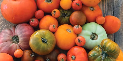 Farmers Market @ The Shed - Tomato Focus
