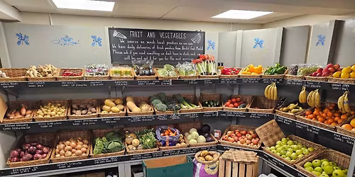 Olive and Cheese Tasting