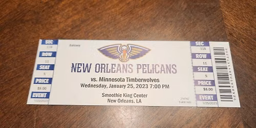 New Orleans Pelicans at Minnesota Timberwolves at Target Center
