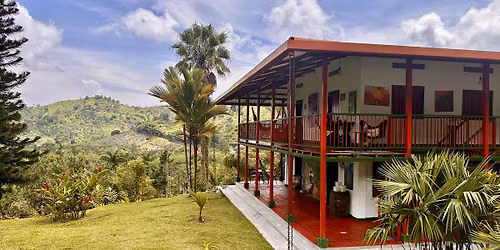From Farm to Cup: Forest Coffee Colombia