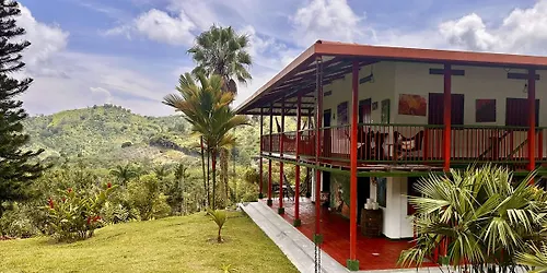From Farm to Cup Forest Coffee Colombia