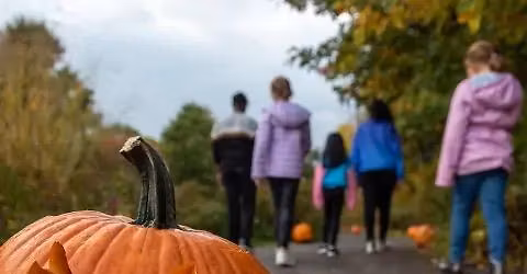 Walk, Slice, and Scare \ud83c\udf83