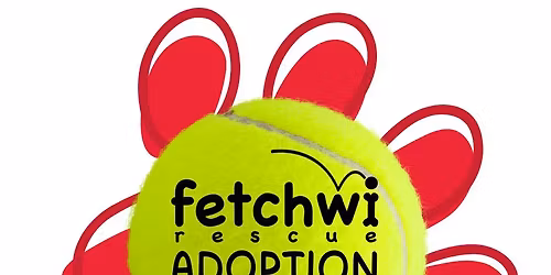 One Doggo at a Time \/ 11-30-2025