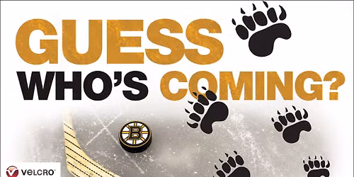 Boston Bruins Storytime with Blades