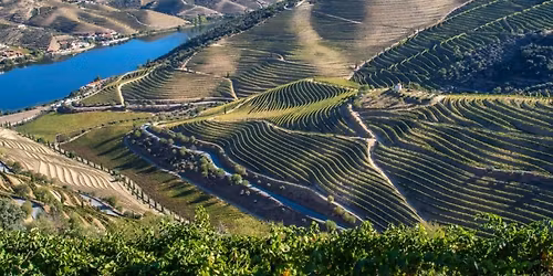 Winemakers Dinner: Portugisisk Vinaften hos Egn