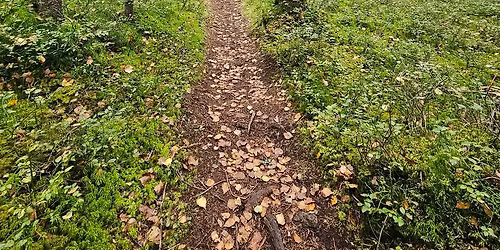 Rundtur SN\u00d8- Gjeller\u00e5smarka-Bl\u00e5l\u00f8ypa-SN\u00d8