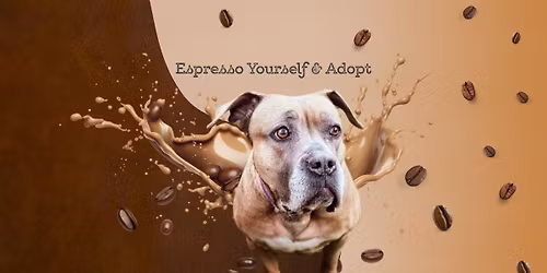 Espresso Yourself & Adopt