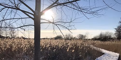 Eindejaarswandeling in het Hageven