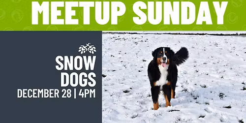Snow Dogs Meetup