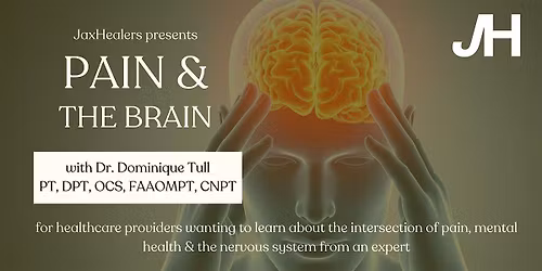 Understanding Pain: The Brain, The Body & Better Client Care
