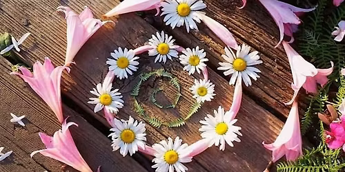 GOLDEN GODDESS GROVE ✦ Wild Women Circle