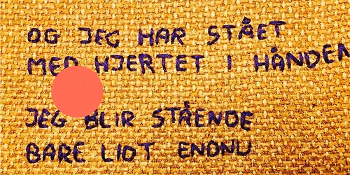 F\u00d8LSOMT BRODERI \ud83e\uddf5