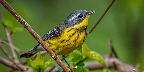 Wings Over Lake Erie | Stop # 6