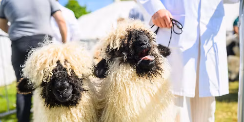 Devon County Show 2026