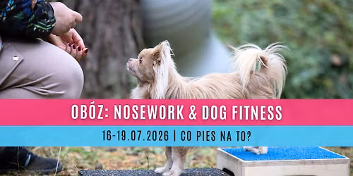 Ob\u00f3z: Nosework & Dog Fitness - lipiec 2026!