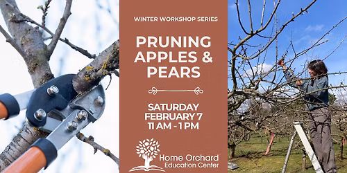 Pruning Apples & Pears