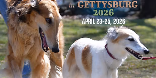 Greyhounds in Gettysburg 