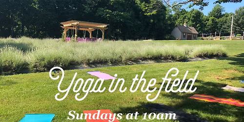 Yoga in the Lavender Field every Sunday at 10 am